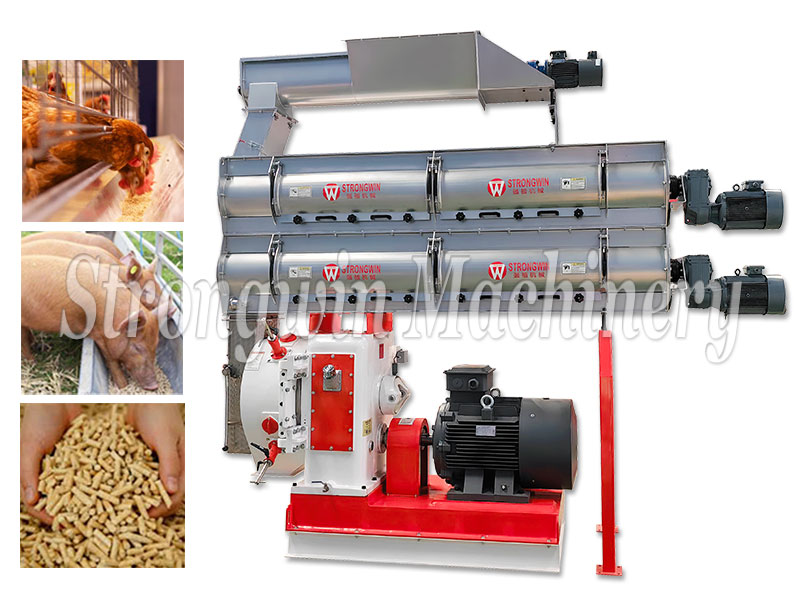 Poultry Pellet Feed Machine