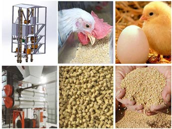 Chicken Feed Machinery