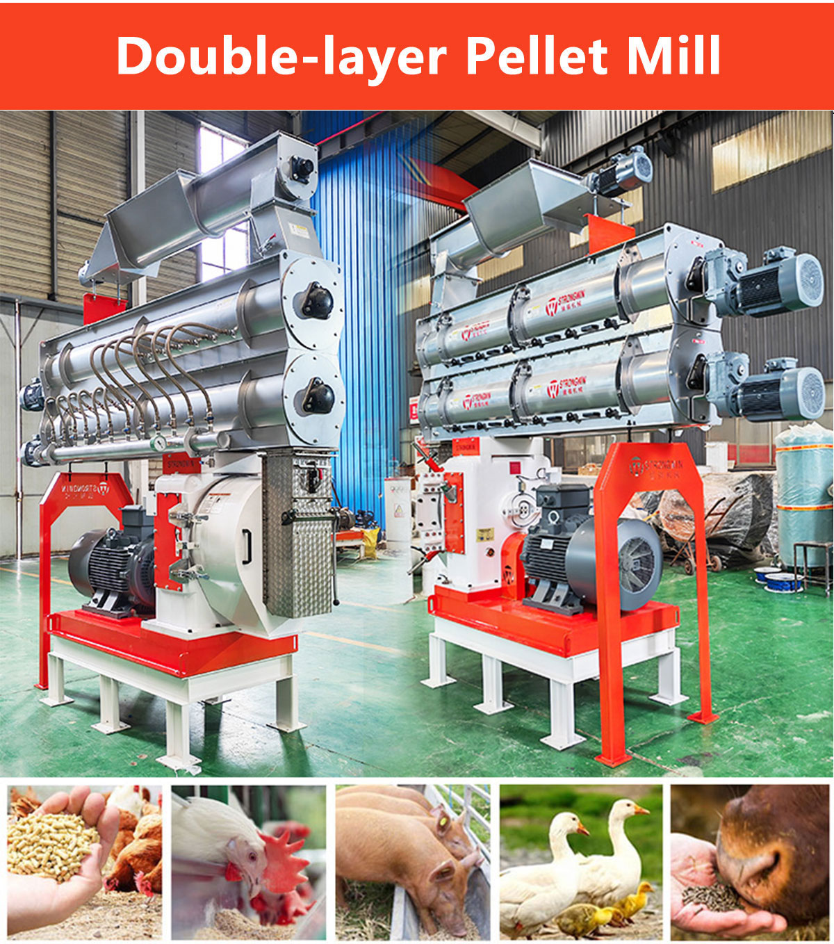 animal feed pellet mill suppler