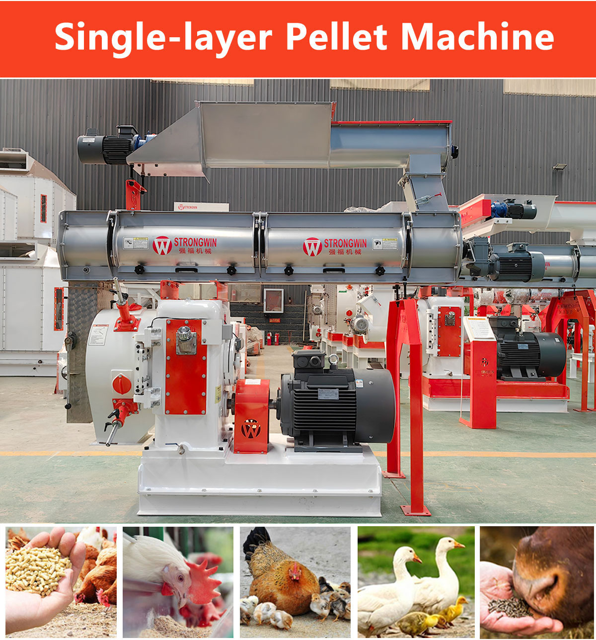 poultry feed pellet machine