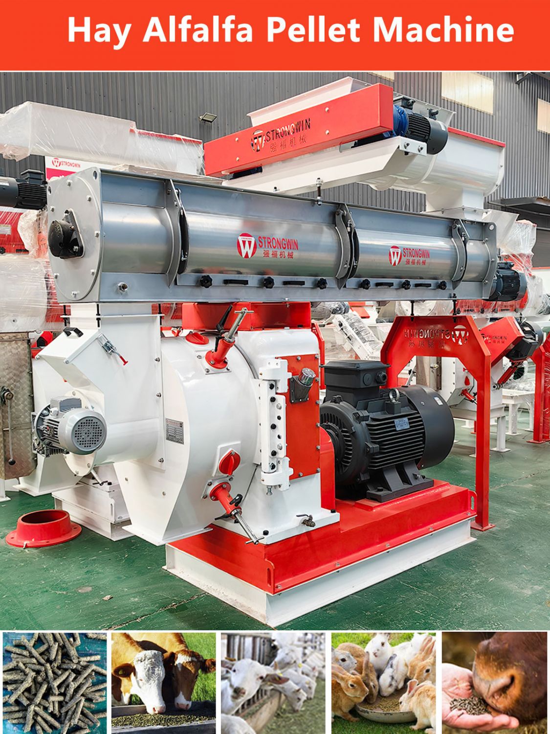 cattle feed pellet making machine