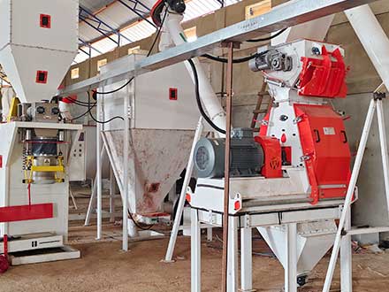 Custom Feed Plant in Ghana: Powder and Granular Production in One Flexible Solution