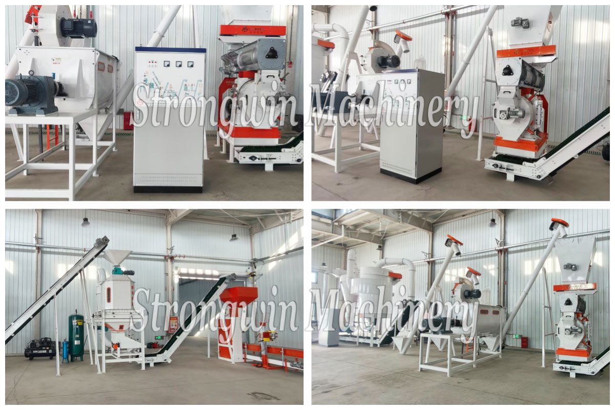The SZLH420 Ruminant Dry Grass Pellet Production Plant has been installed in Xinjiang Province, China