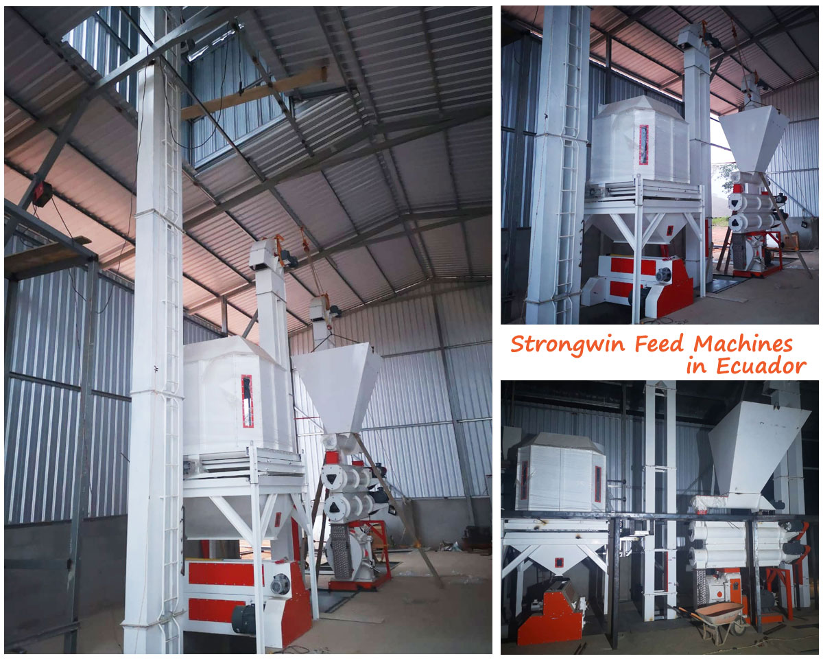 Strongwin Feed Machines in Ecuador