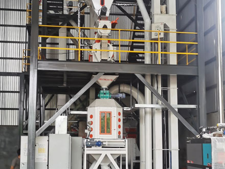 5 t/h feed powder line and 3 t/h pellet line combined project in Yunnan, China