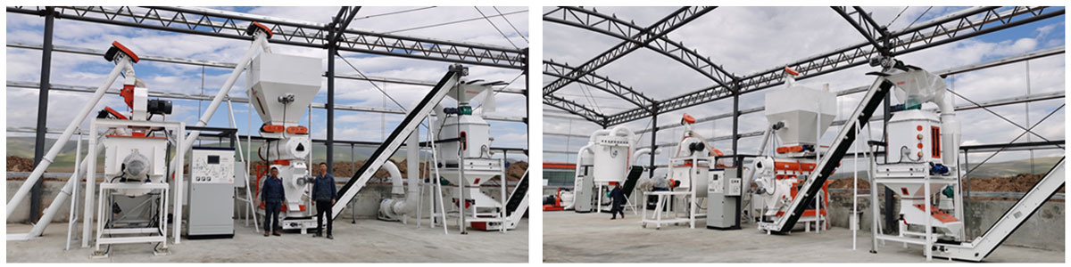 Ruminant Feed Pellet Production Line Installation Completed