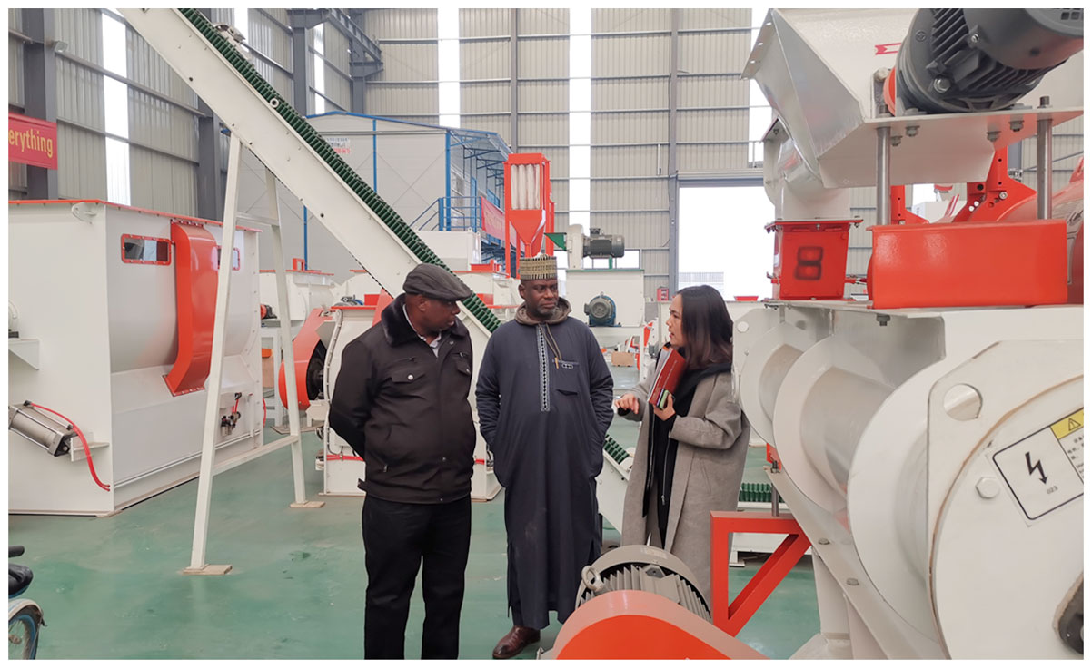 Customers, from Nigeria, visit our factory for Feed Production Machines
