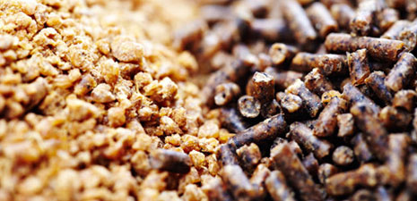 animal feed production line,fish feed line,feed production line