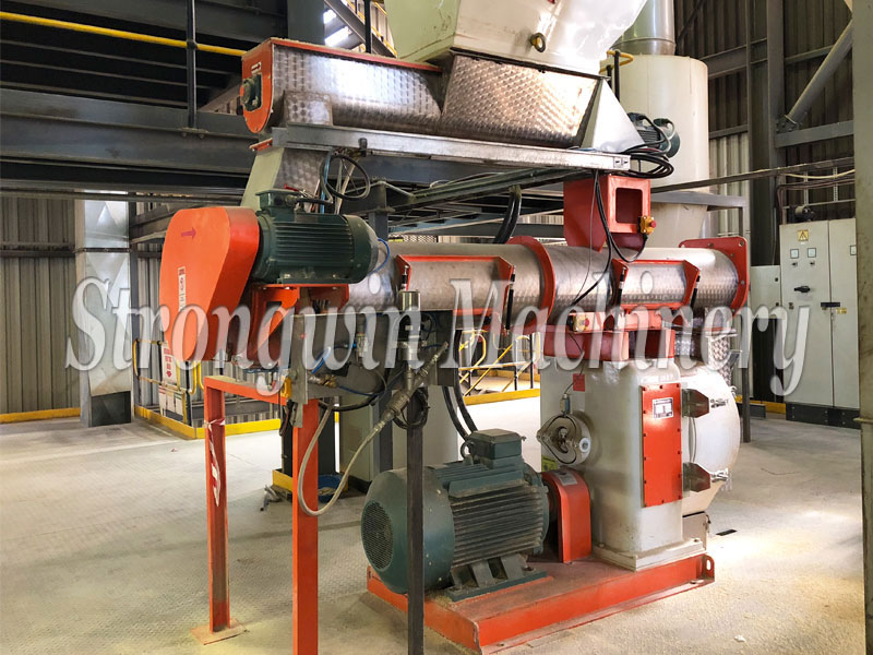 Animal Feed Pellet Machine