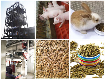 Animal Feed Production Line