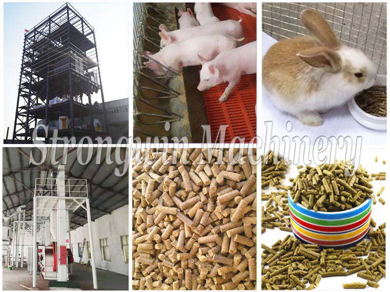 Animal Feed Processing