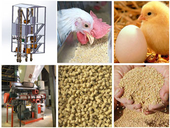 Chicken Feed Machinery