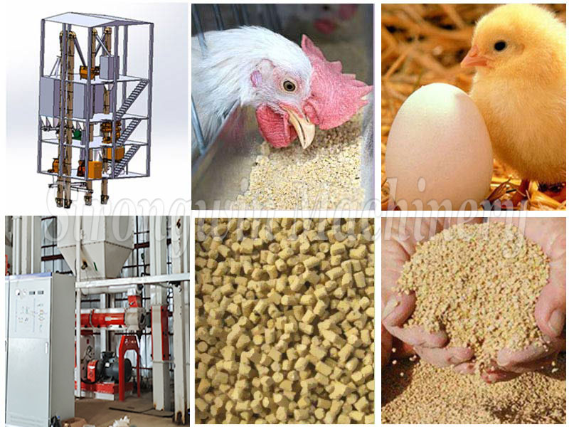 Chicken Feed Machinery