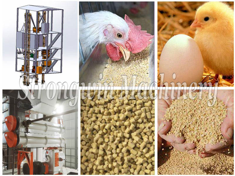 Chicken Feed Machinery