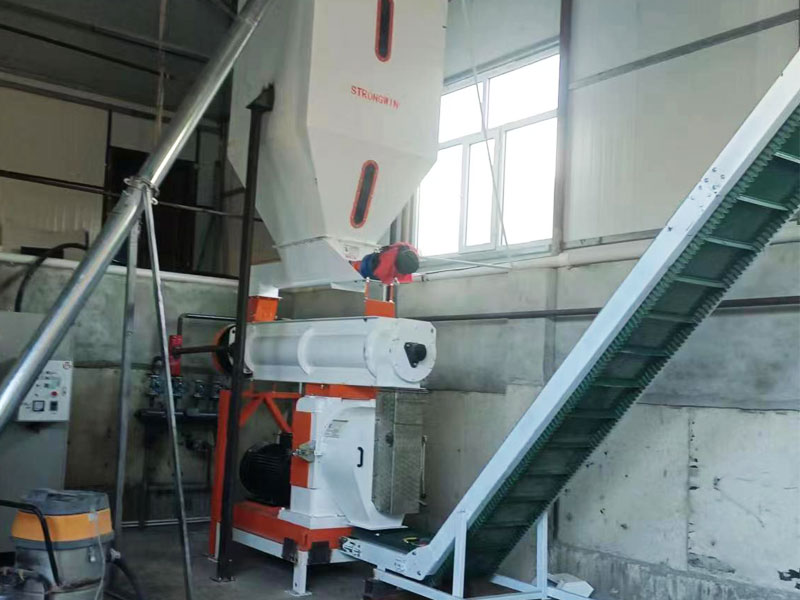 Cat Litter Pellet Production PlantStrongwin Pellet Machinery Manufacturer