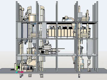 fish feed production