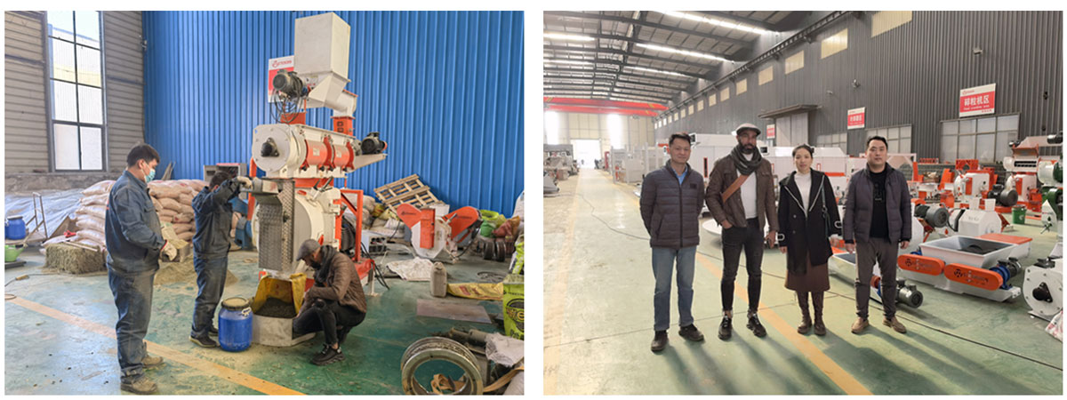 France Customers Visit Strongwin factory For Animal Feed Manufacturing Machine