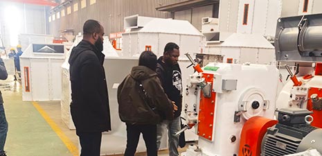 Nigerian customers visit our factory
