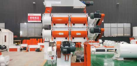 Indian customers ordered feed extrusion line for shrimp