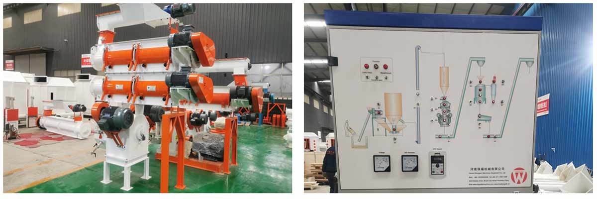 Indian customers ordered feed extrusion line for shrimp