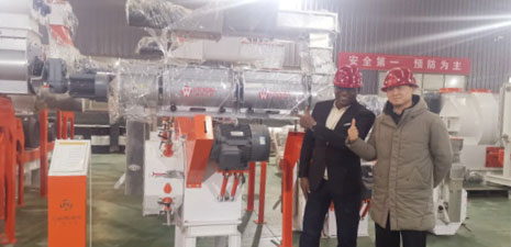 Customer from Nigeria visit our feed production machine factory