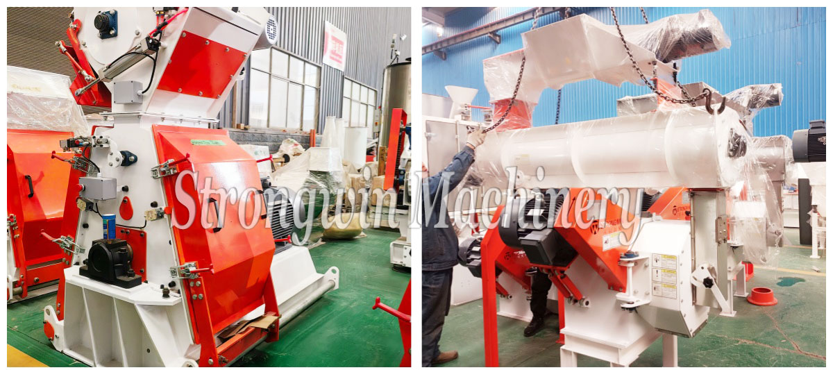 Layer Feed Powder Line & Pellet Line packing and shipping to Ghana