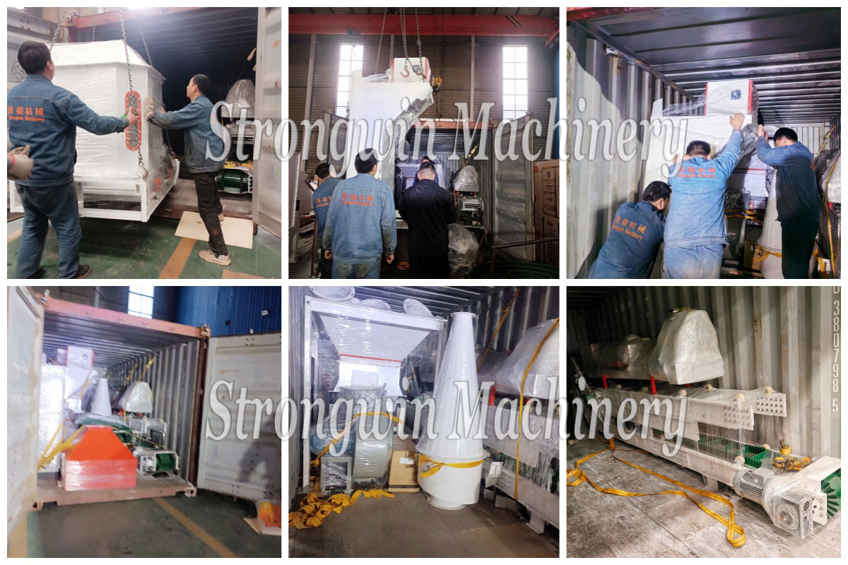 SZLH 250 Animal Feed Pellet Production Machines packing and shipping to Venezuela
