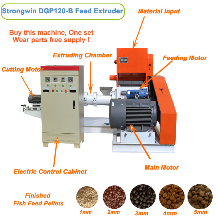 fish feed machine supplier