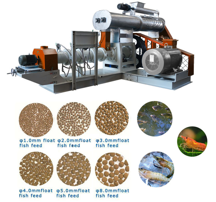 fish feed machine factory