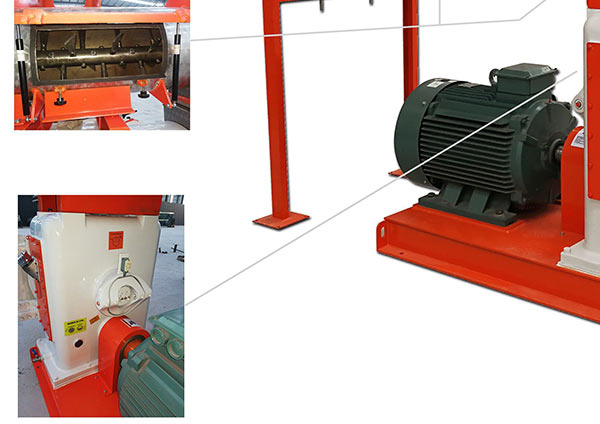 ring die feed pellet machine