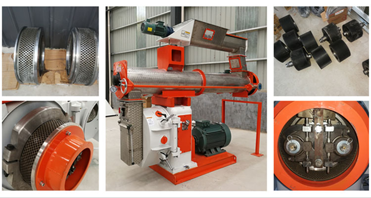 feed pellet mill