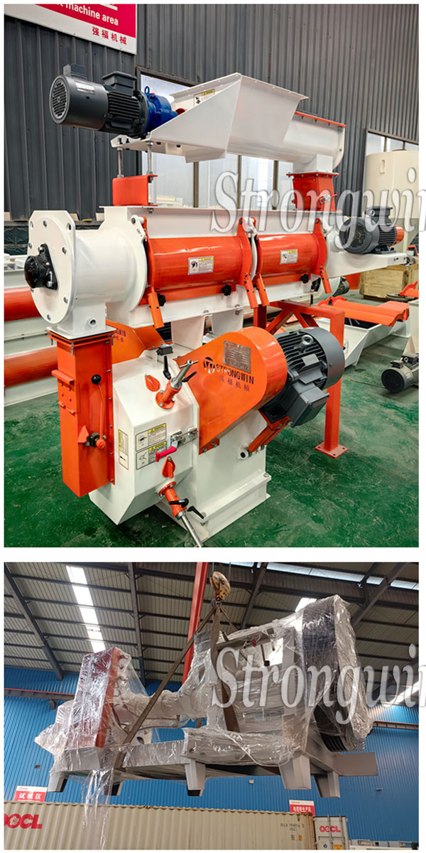 SZLH250 feed pellet machine and DGP160 fish feed extruder packing and shipping to Ecuador