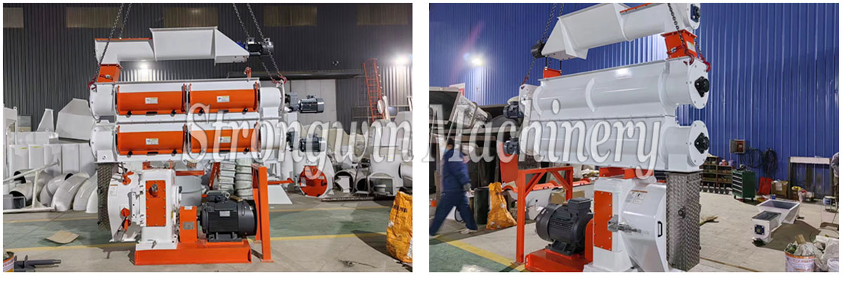 SZLH350 double conditioner feed pellet machine packing and shipping to Gansu Province, China