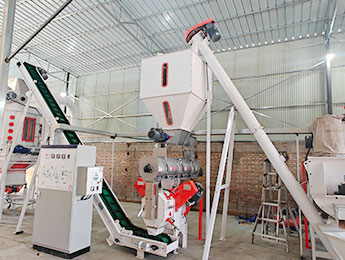 small feed pellet manufacturing line