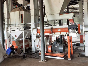 Chicken Feed Machinery