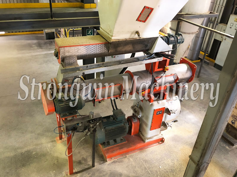 Animal Feed Pellet Machine