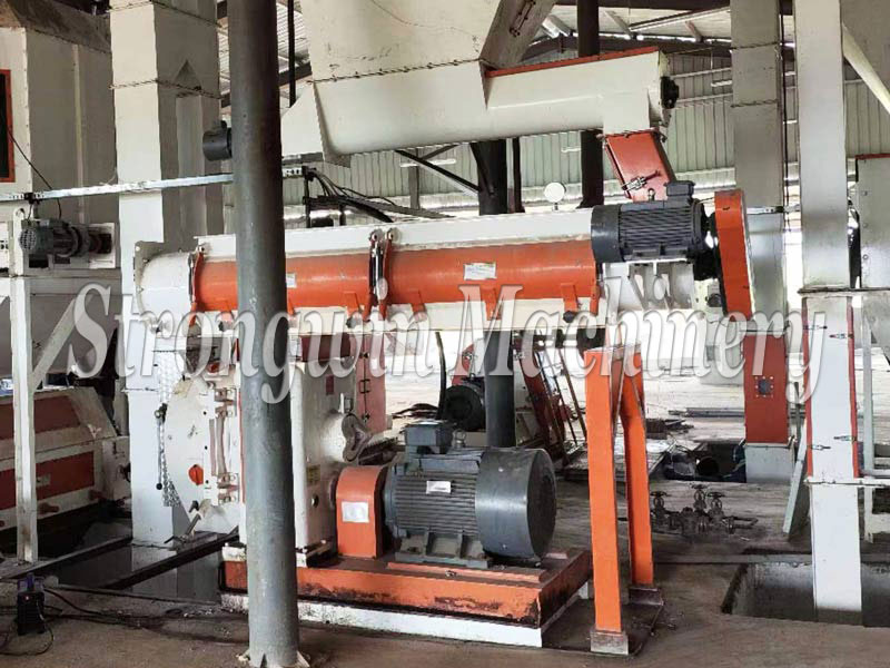 Cattle Feed Pellet Equipment