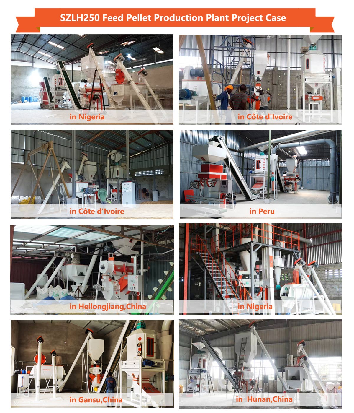 Complete Set SZLH250 Feed Pellet Production Plant Solution Project