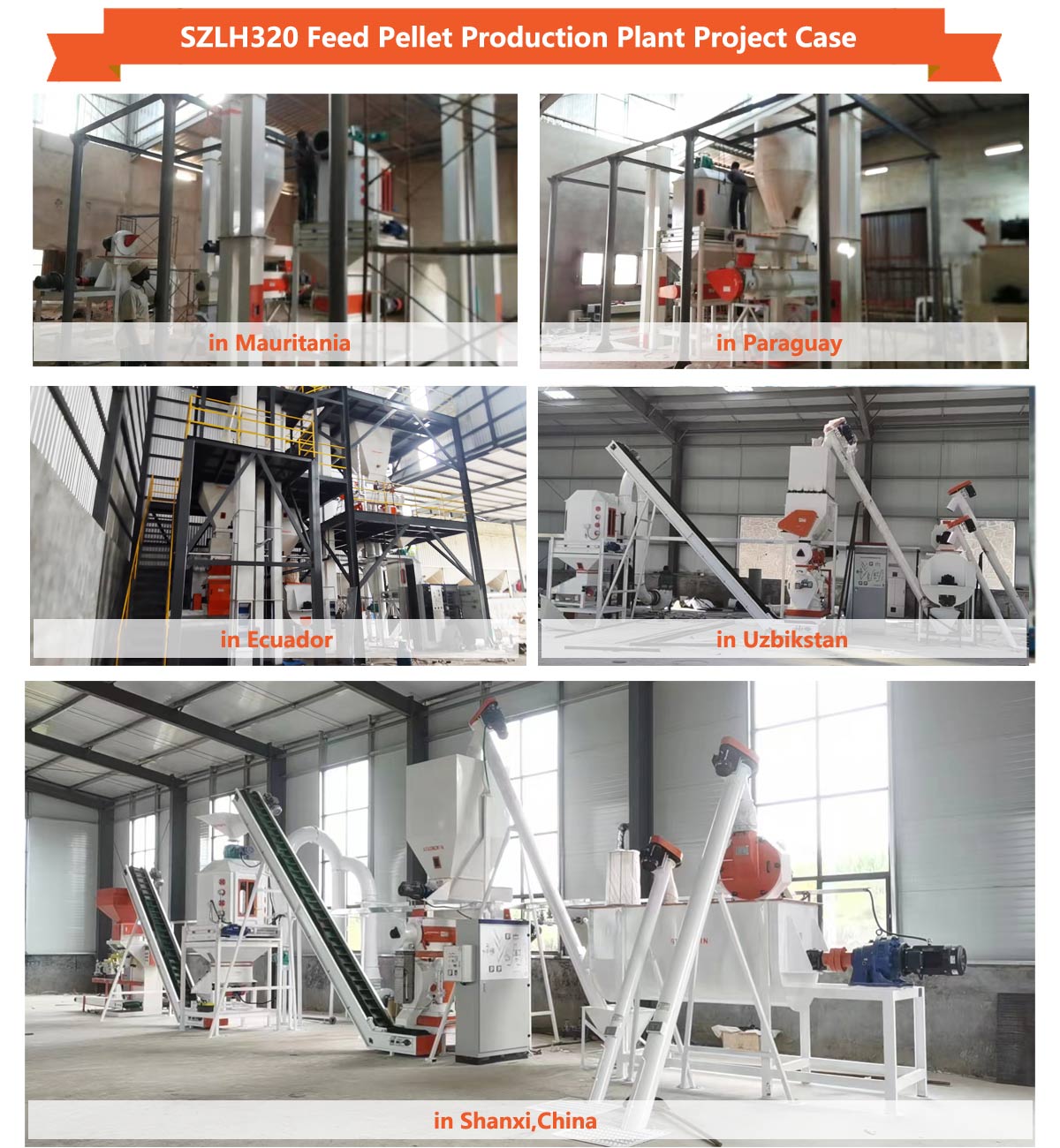 SZLH320 Poultry Feed Pellet Plant Solution Project