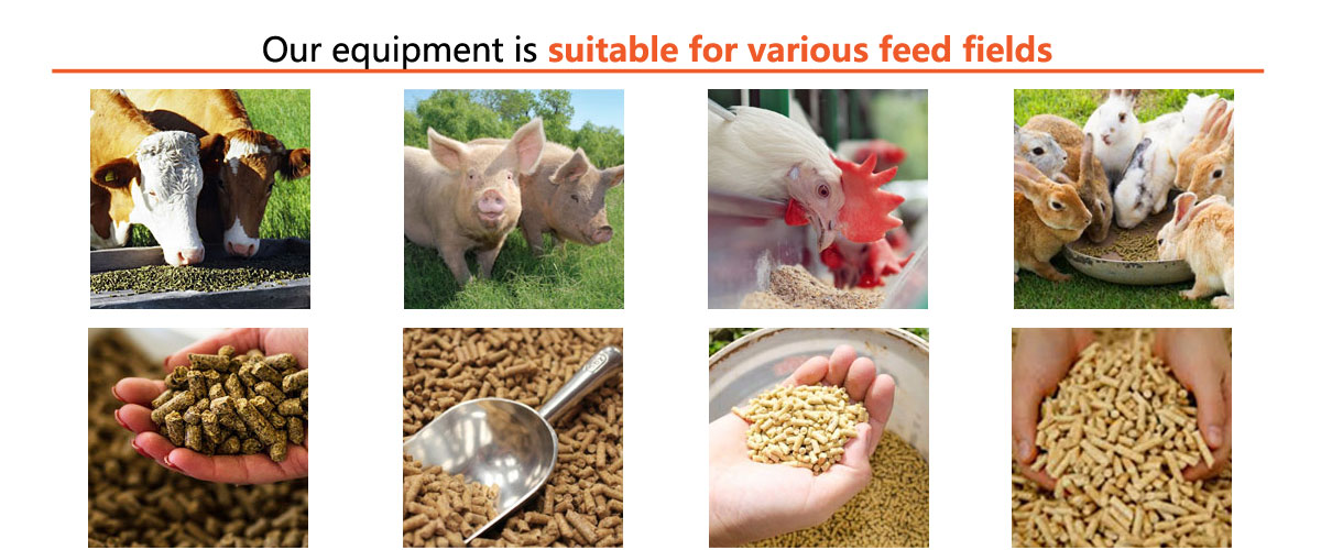 SZLH320 Poultry Feed Pellet Plant Solution Project 2-3t/h