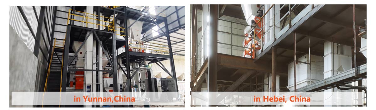 SZLH350 Feed Pellet Production Line Solution Project 5t/h