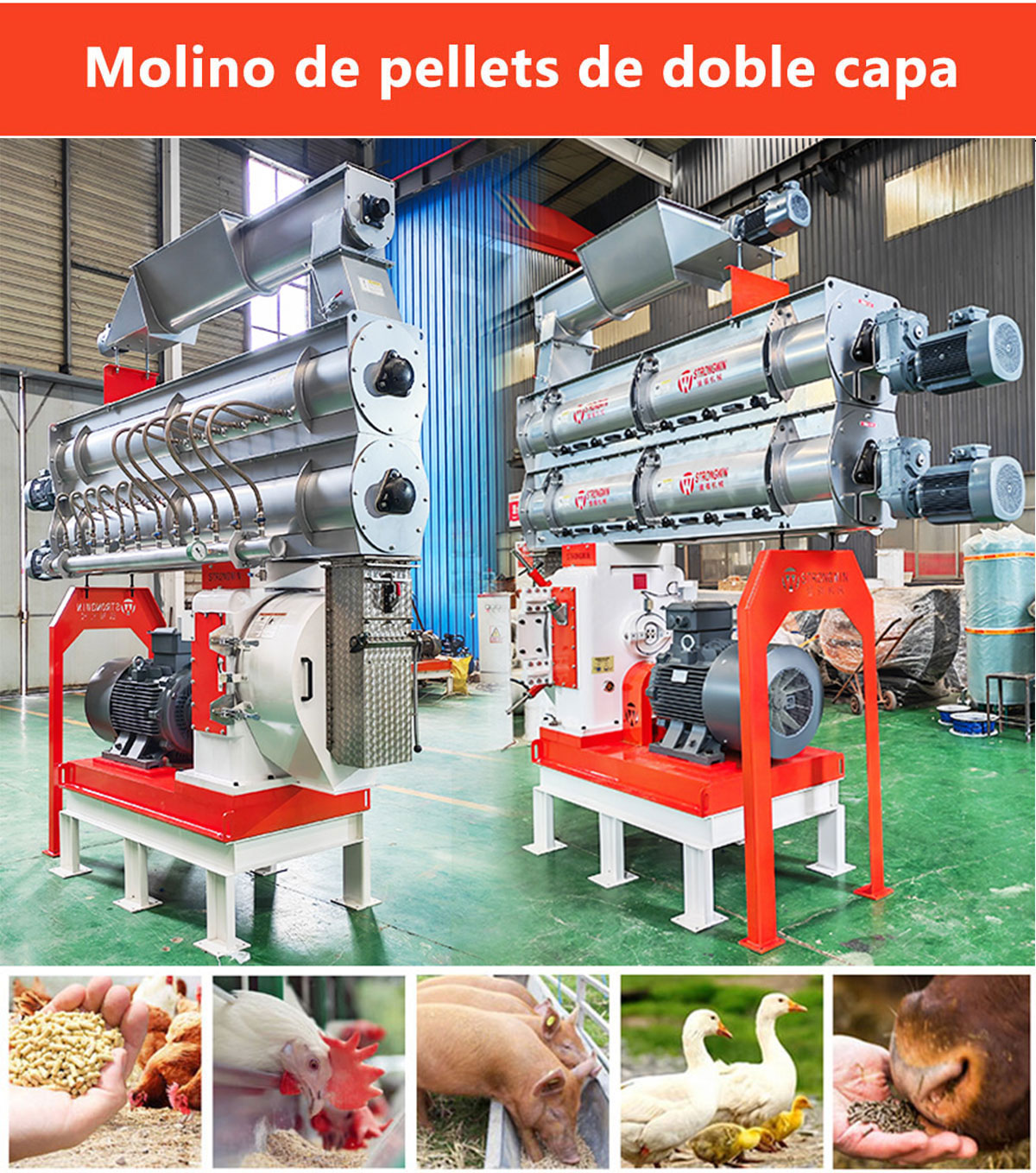 El molino de pellets de alimentaci&oacute;n de doble capa ha aumentado el proceso de gelatinizaci&oacute;n del almid&oacute;n, puede producir alimentos para cerdos de alta calidad y alimentos para peces que se hunden.