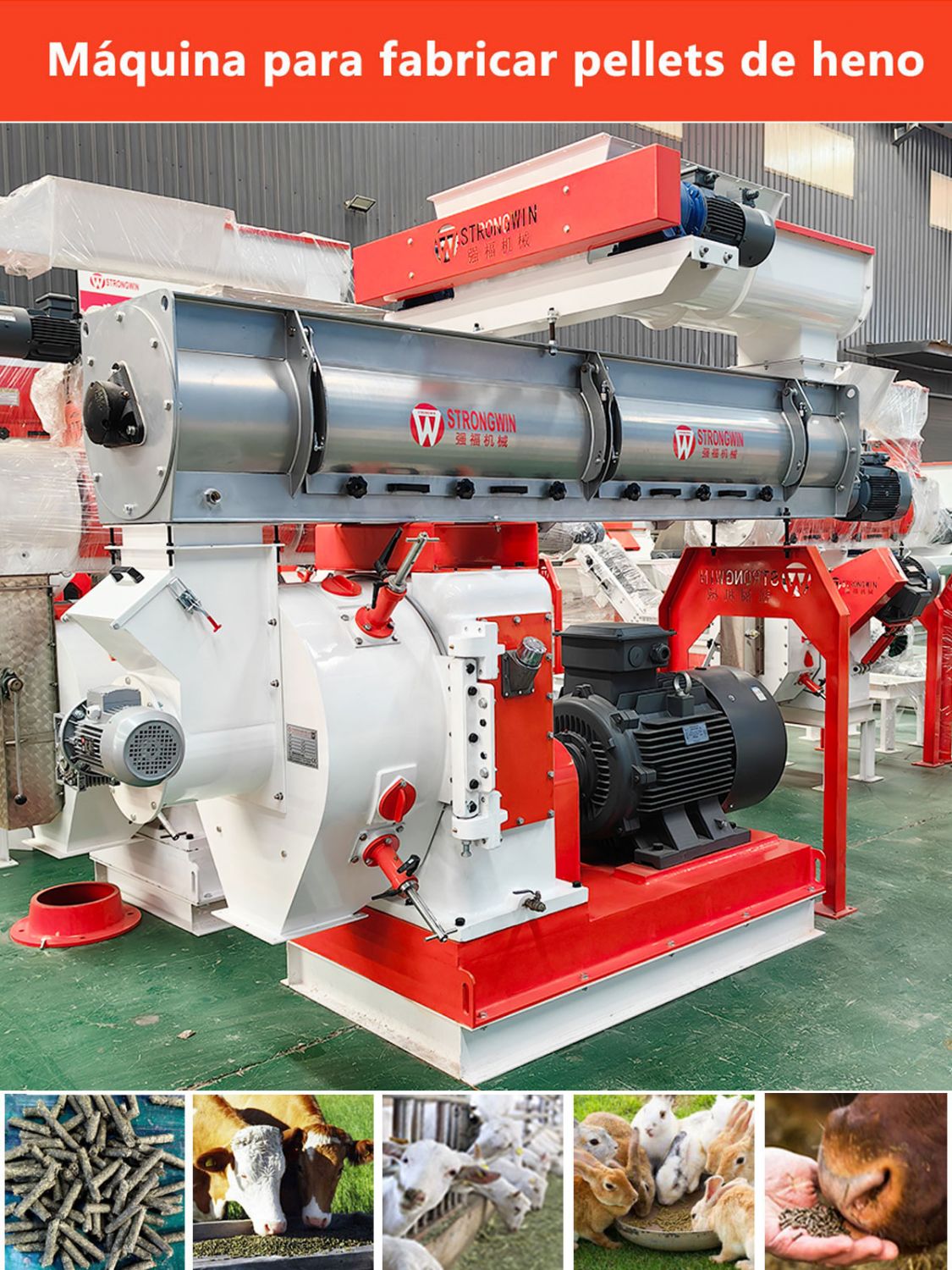 M&aacute;quina de pellets de heno equipada con alimentaci&oacute;n forzada, utilizada para producir alimento que contiene polvo de pasto para ganado, ovejas, caballos, conejos, etc..