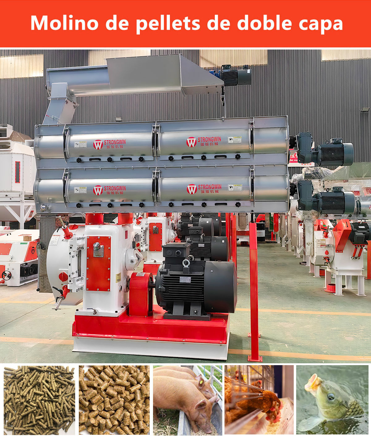 El molino de pellets de alimentaci&oacute;n de doble capa ha aumentado el proceso de gelatinizaci&oacute;n del almid&oacute;n, puede producir alimentos para cerdos de alta calidad y alimentos para peces que se hunden.