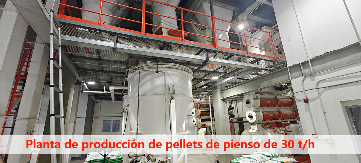 Planta de producci&oacute;n de pellets de pienso de 30 t/h