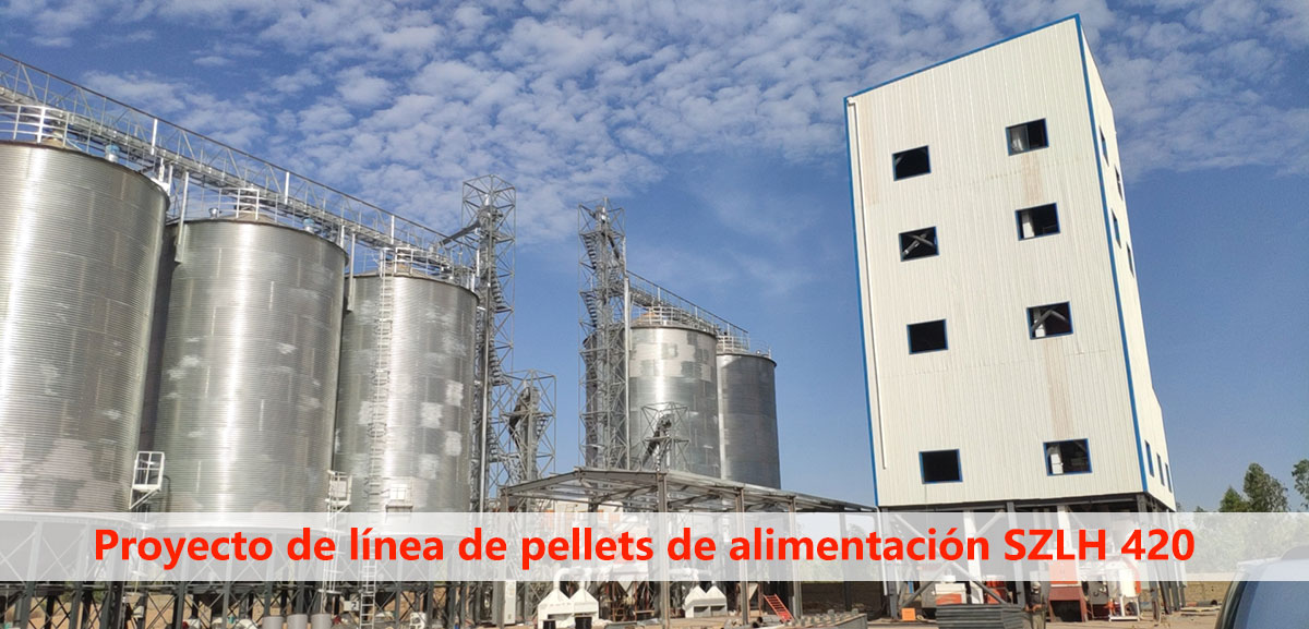 SZLH420 Poultry Feed Pellet Plant Solution Project 