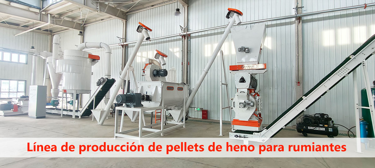 L&iacute;nea de producci&oacute;n de pellets de heno para rumiantes
