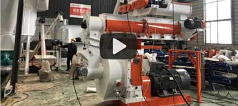 SZLH508 Ring die Stalk feed pellet machine