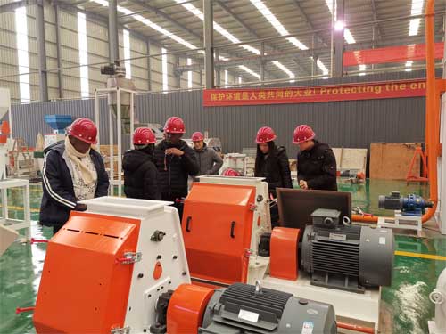 Africa Customers Visit Strongwin For 5T/H feed pellet line