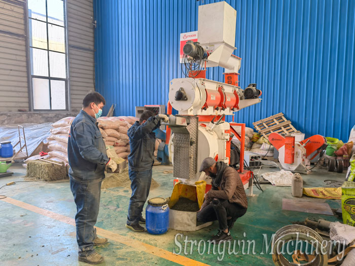 France Customers Visit Strongwin factory For Animal Feed Manufacturing Machine